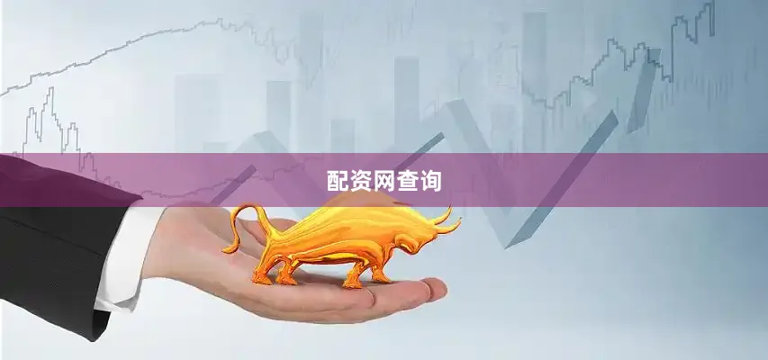 配资网查询